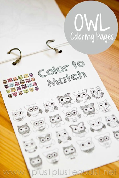 Free OWL Coloring Printables