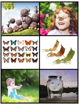 Printable Bug Photo Cards