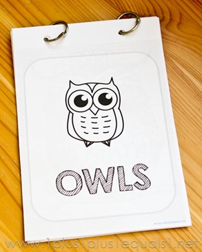 Owl Coloring -8484