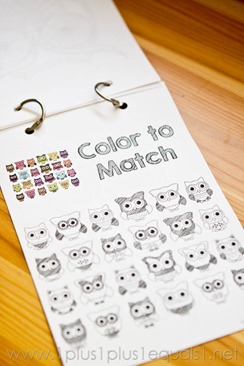 Owl Coloring -8490