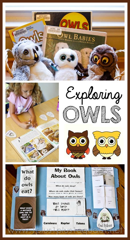 Owl Unit Study and Lapbook