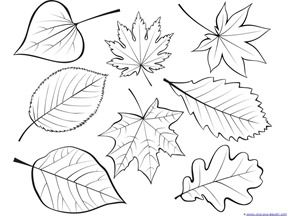 61 Coloring Pages Leaves , Free HD Download