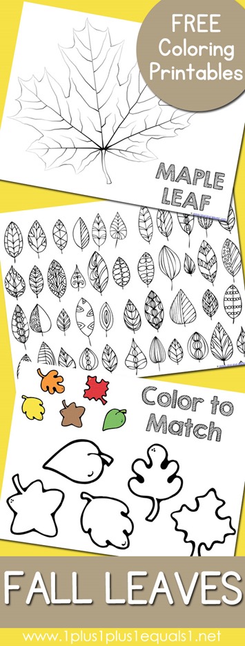 Free Fall Leaves and Trees Coloring Pages