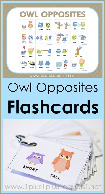 Owl Opposites Flashcards ~ Free Printable - 1+1+1=1