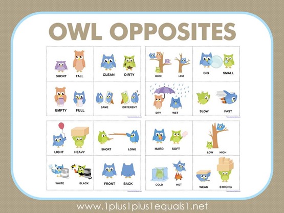 Owl Opposites Flashcards Free Printable 1 1 1 1