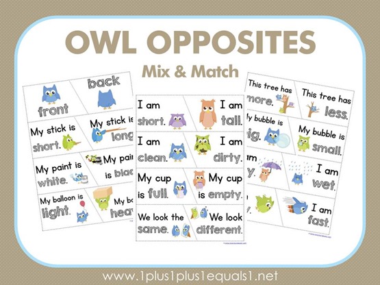Owl Opposites Mix and Match
