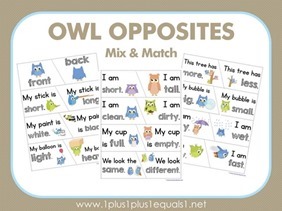 Owl-Opposites-Mix-and-Match31
