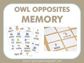 Owl-Opposites-memory3