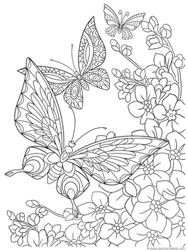Butterfly Coloring (5)