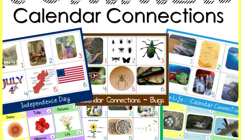Summer Calendar Connections
