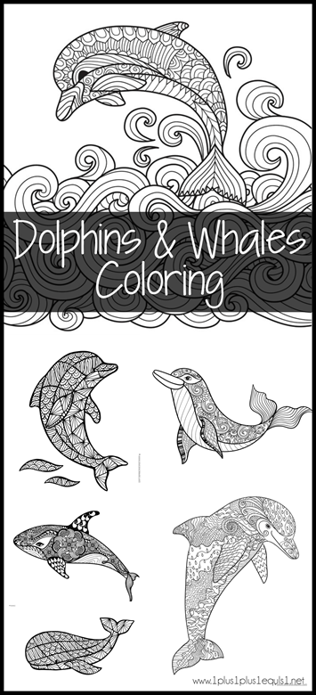 dolphin coloring pages for adults