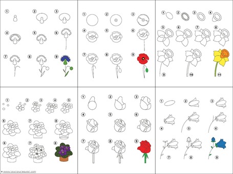 Flower Drawing Tutorials (1)