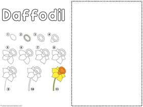 Flower Drawing Tutorials (2)