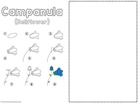 Flower Drawing Tutorials (3)