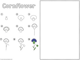 Flower Drawing Tutorials (6)