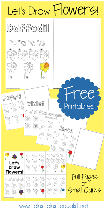 Let's Draw Flowers - Free Printables