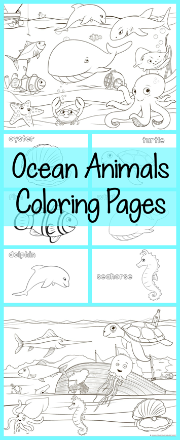 Ocean Animals Coloring Pages