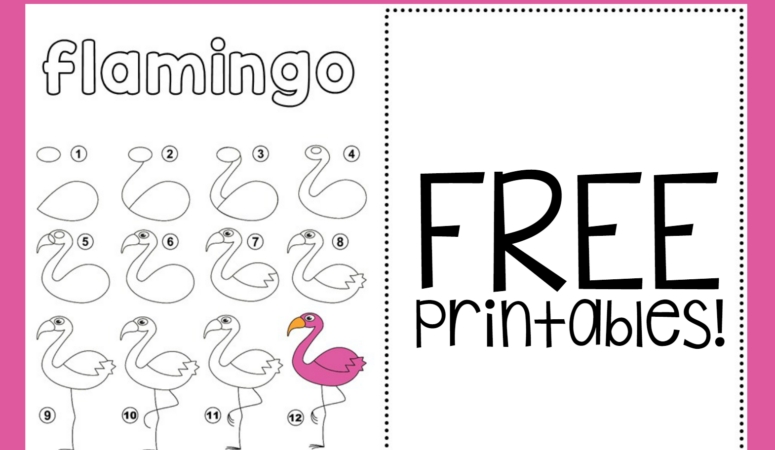 Let&rsquo;s Draw Birds!