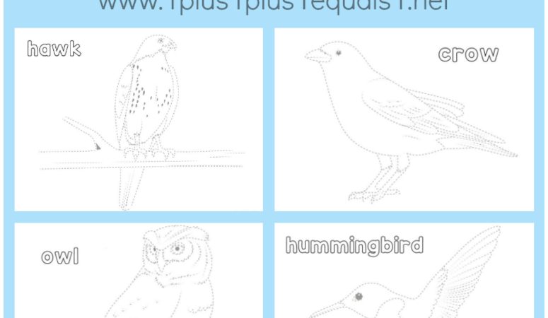 Bird Trace and Color Printables