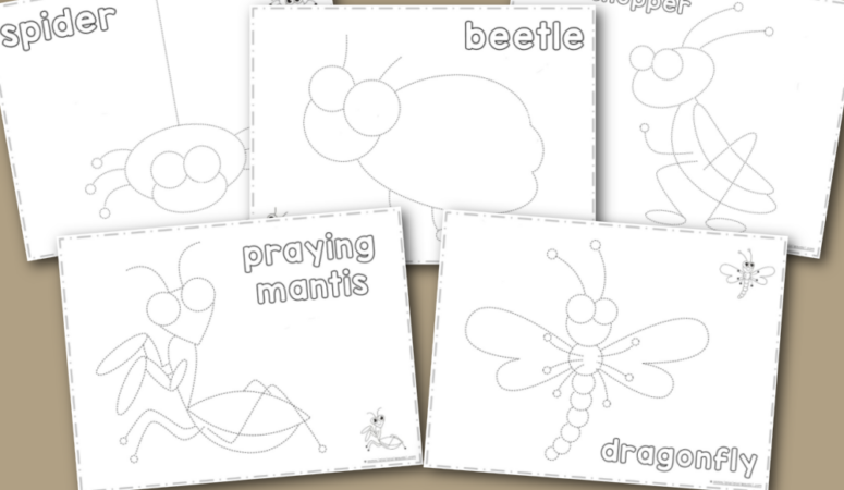Finish the Picture ~ Trace & Color Bugs and Critters