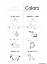 Colors Accordion Book