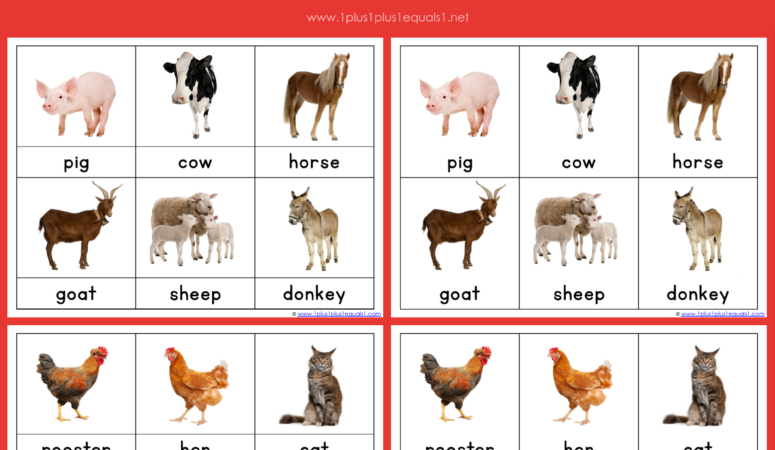 On the Farm Nomenclature Cards ~ Montessori Printables