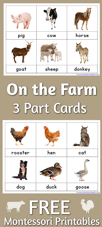 Farm Animal Family Cards - Montessori Services