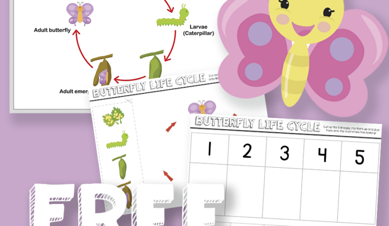 Butterfly Life Cycle Printables