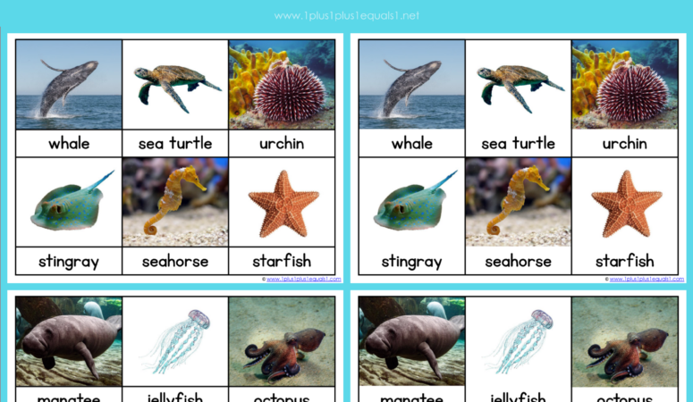 Ocean Animals Nomenclature Cards