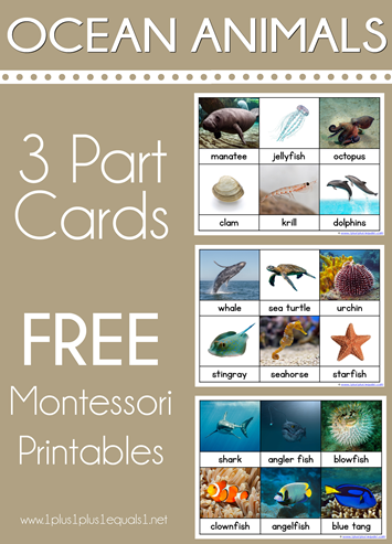 Ocean Animals Montessori Printables Nomenclature 3 Part Cards