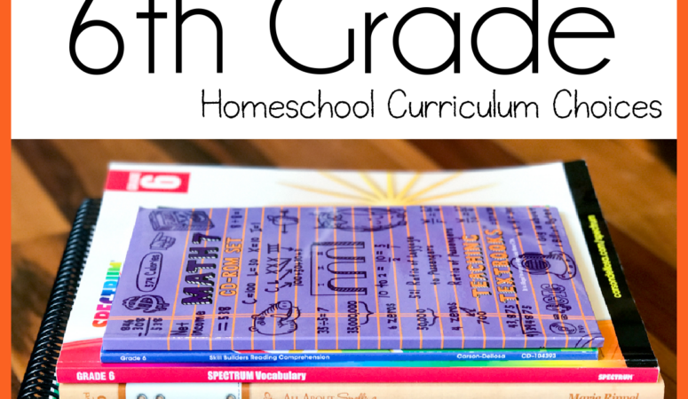 6th Grade Homeschool Curriculum Choices