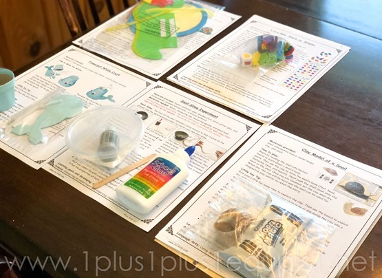 Ivy Kids Snail and Whal Kit (1 of 11)