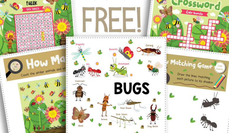Bug Fun Pack