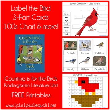 Birds Kindergarten Literature Unit Printables
