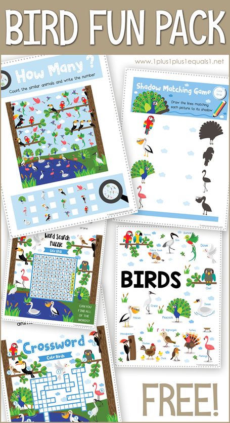 BIRD Fun Pack