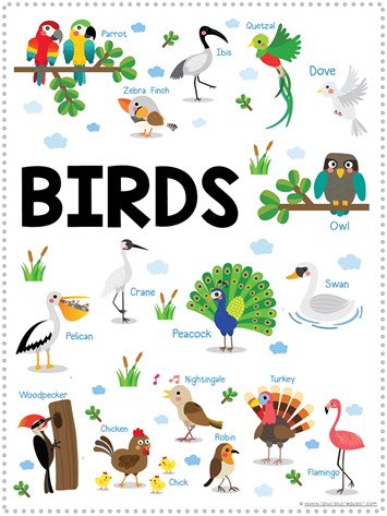 Bird Fun Pack Free Printables (2)