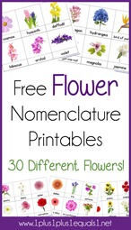 Flower Nomenclature Printables