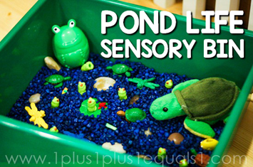 Pond Life Sensory Bin