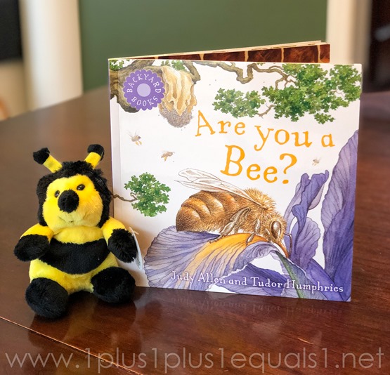 Ivy Kids Kits Bees-3