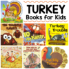 TURKEY Books for Kids - 1+1+1=1