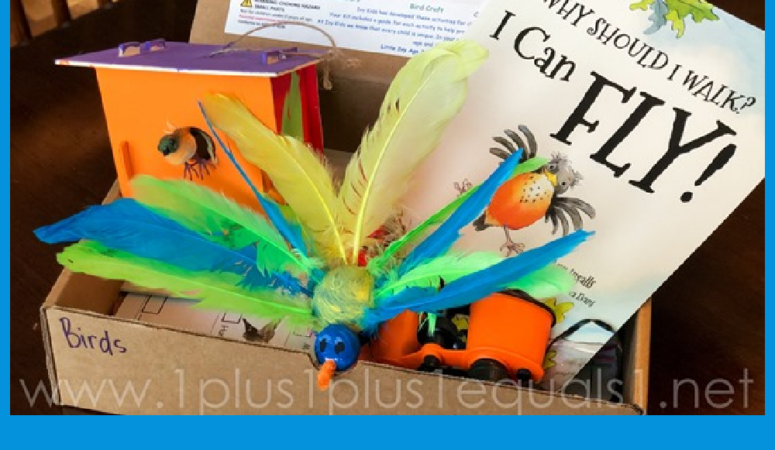 Bird Unit Study with Ivy Kids Kits