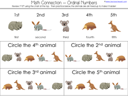 Wombat Divine Kindergarten Literature Unit (13)