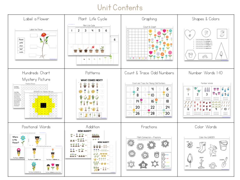 Lola Plants a Garden Kindergarten Literature Unit - 1+1+1=1