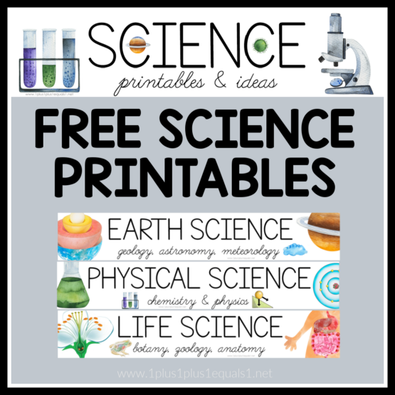 Science Archives - 1+1+1=1