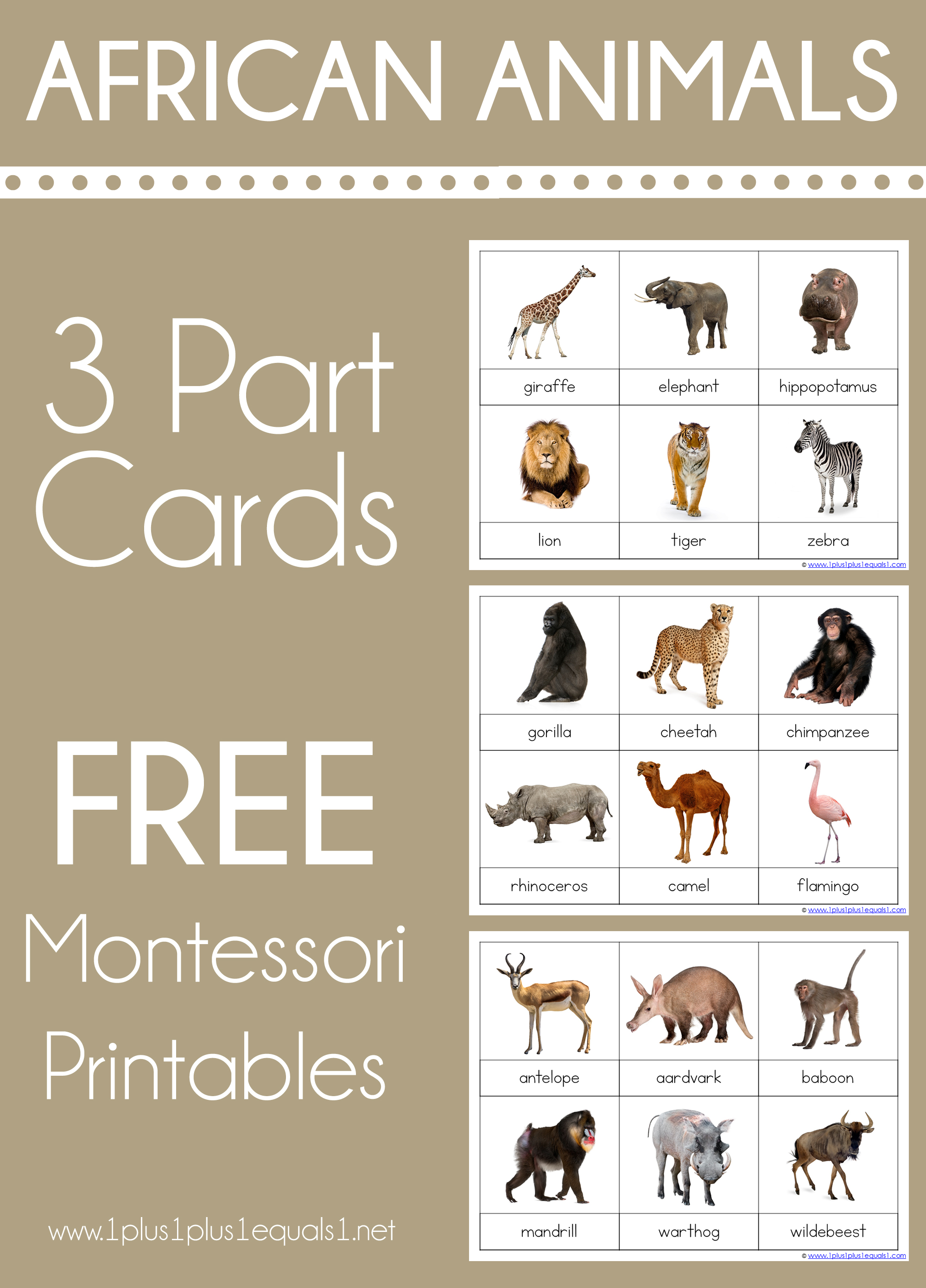 Montessori Facts Continent Animal Cards Free Printables