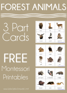 Forest Animals Montessori Printables – FREE 3 Part Cards - 1+1+1=1