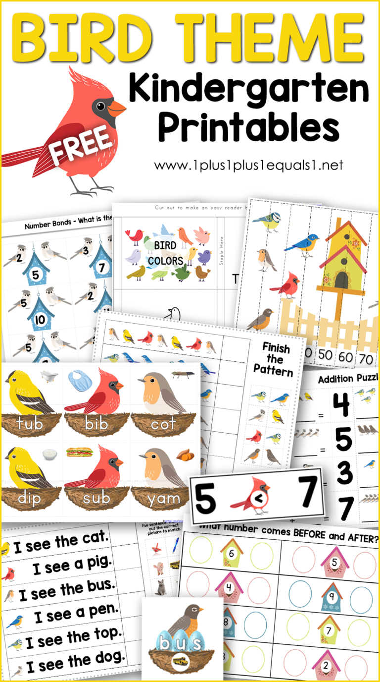 Bird Theme Kindergarten Printables - 1+1+1=1