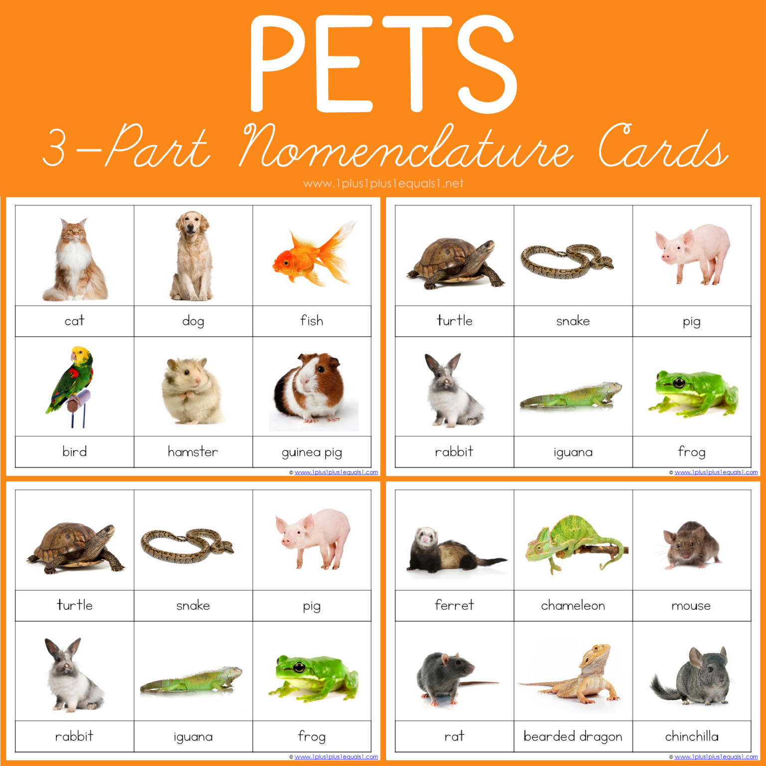 Pet 3Part Printable Cards and Boom Cards 1+1+1=1