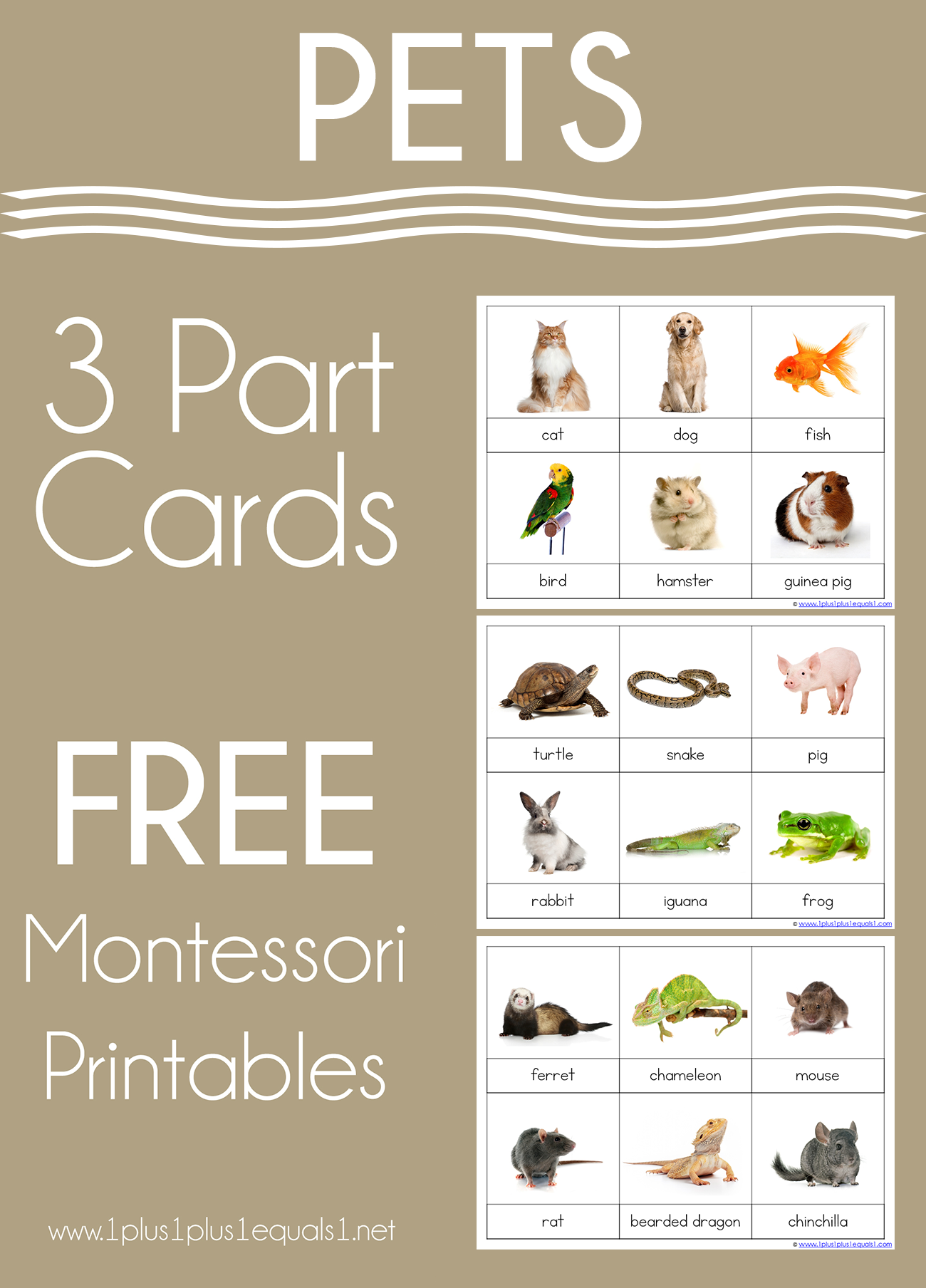 Pet 3-Part Printable Cards and Boom Cards - 1+1+1=1