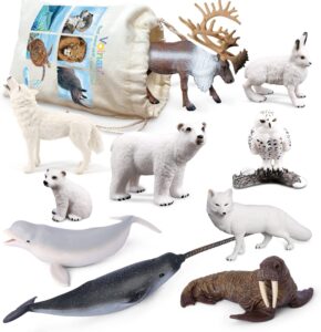 Let's Explore Arctic Animals - An Arctic Unit Study for Kids - 1+1+1=1